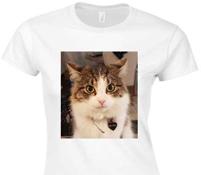 Custom Womens Soft Style 100% Cotton White T-Shirt