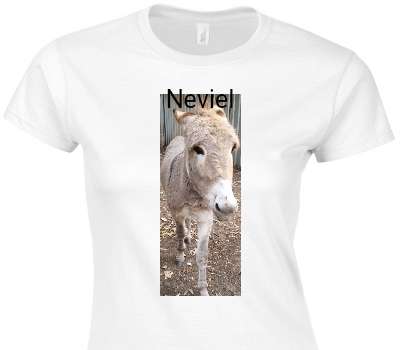 Custom Womens Soft Style 100% Cotton White T-Shirt