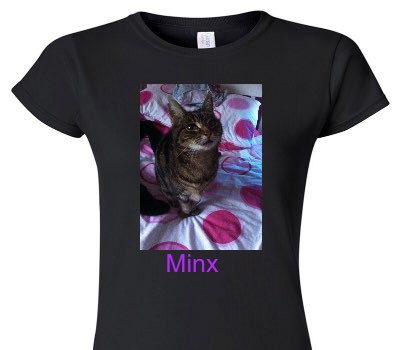Custom Womens Soft Style 100% Cotton Black T-Shirt