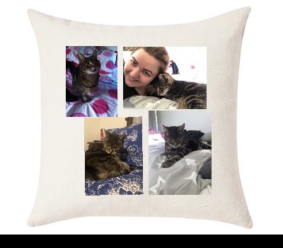Custom Cushion Cover 50cm x 50 cm Off White