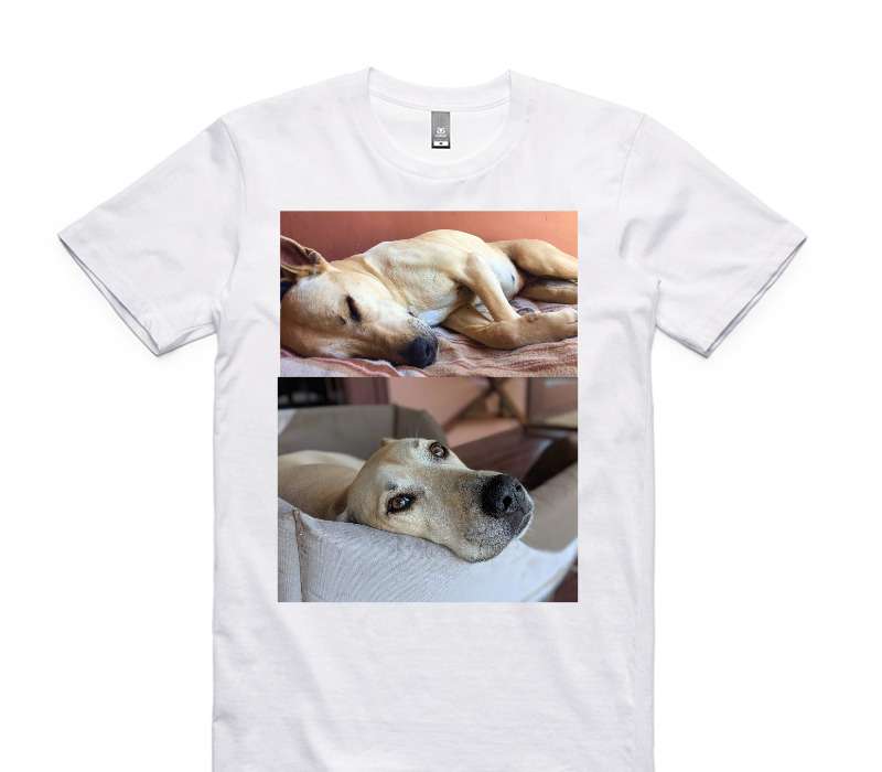 Custom AS Colour 100% Cotton White T-Shirt