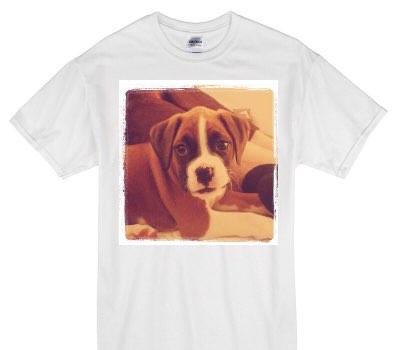 Custom Gildan 100% Cotton White T-Shirt