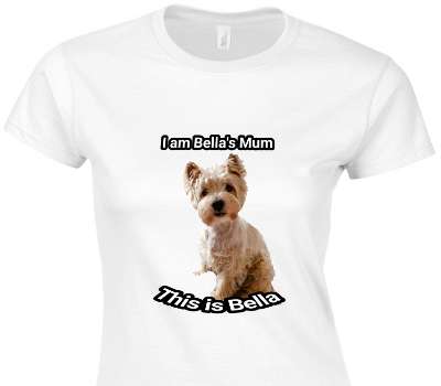Custom Womens Soft Style 100% Cotton White T-Shirt