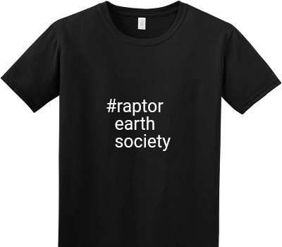 Custom Adult Soft Style 100% Cotton Black T-Shirt