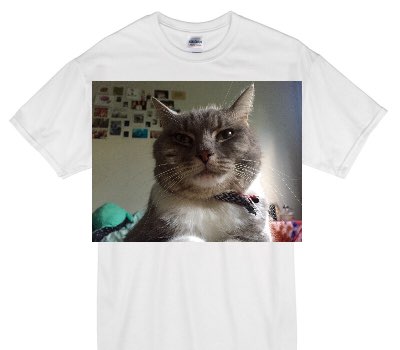 Custom Gildan 100% Cotton White T-Shirt