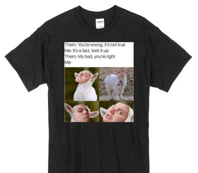 Custom Gildan 100% Cotton Black T-Shirt