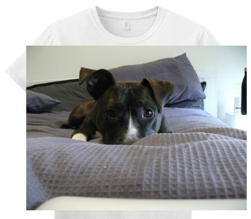 Custom Adult Soft Style 100% Cotton White T-Shirt