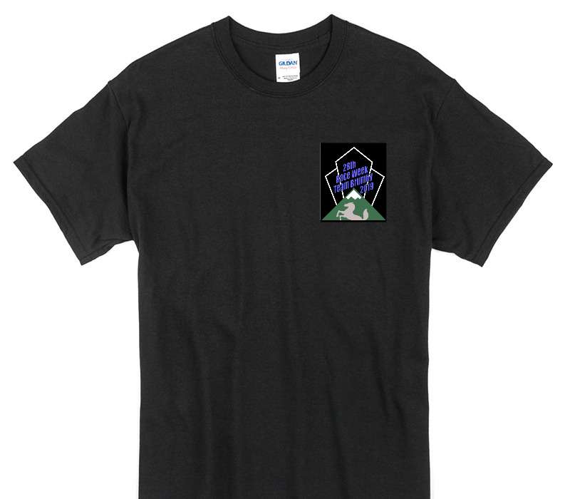 Custom Gildan 100% Cotton Black T-Shirt