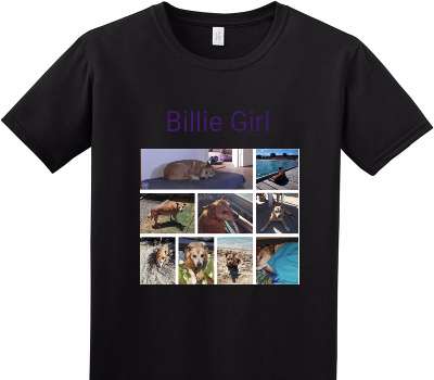 Custom Adult Soft Style 100% Cotton Black T-Shirt