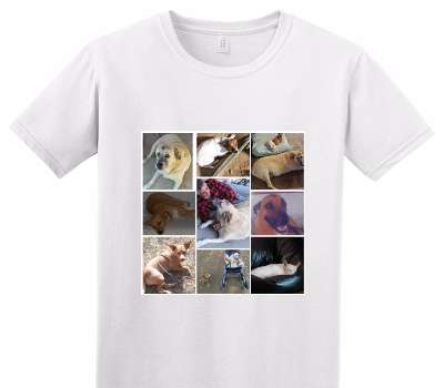Custom Adult Soft Style 100% Cotton White T-Shirt