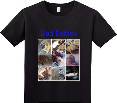 Custom Adult Soft Style 100% Cotton Black T-Shirt