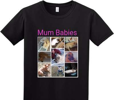 Custom Adult Soft Style 100% Cotton Black T-Shirt
