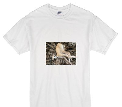 Custom Gildan 100% Cotton White T-Shirt