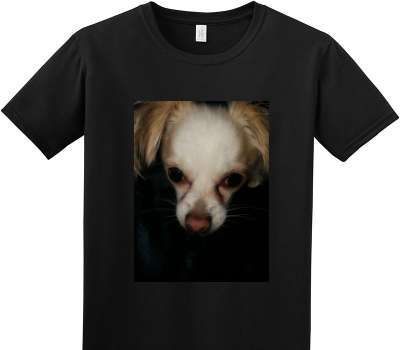 Custom Adult Soft Style 100% Cotton Black T-Shirt