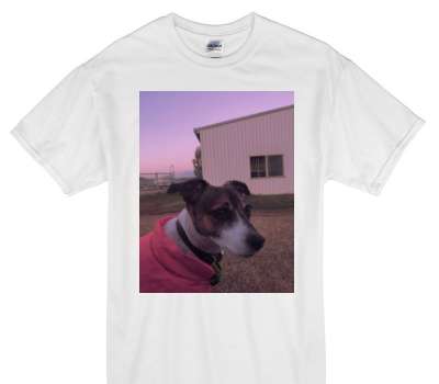 Custom Gildan 100% Cotton White T-Shirt