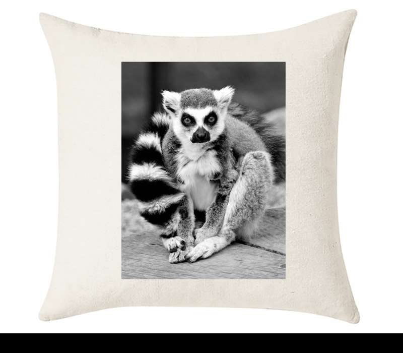 Custom Cushion Cover 50cm x 50 cm Off White