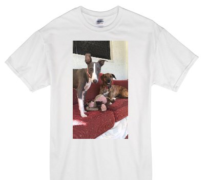 Custom Gildan 100% Cotton White T-Shirt