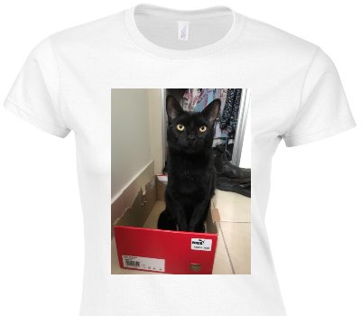 Custom Womens Soft Style 100% Cotton White T-Shirt