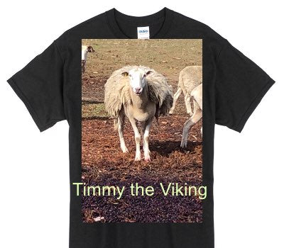 Custom Gildan 100% Cotton Black T-Shirt