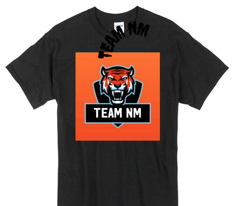 Custom Gildan 100% Cotton Black T-Shirt