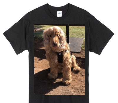 Custom Gildan 100% Cotton Black T-Shirt