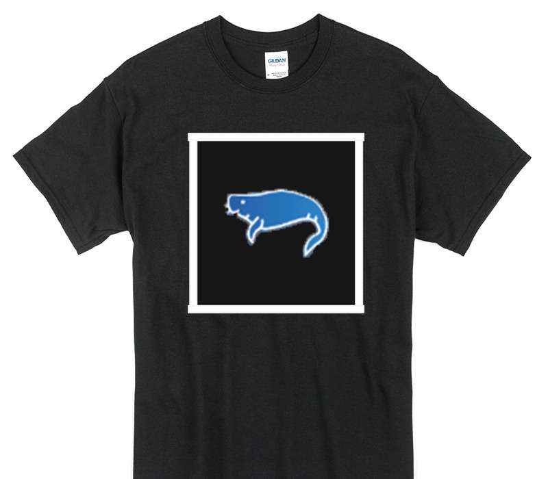 Custom Gildan 100% Cotton Black T-Shirt