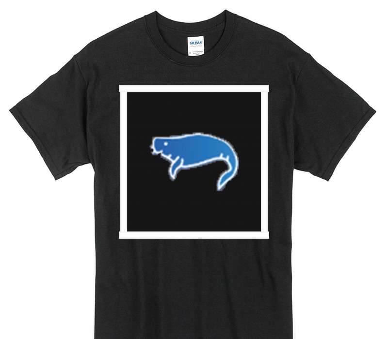 Custom Gildan 100% Cotton Black T-Shirt