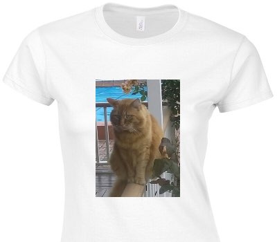 Custom Womens Soft Style 100% Cotton White T-Shirt