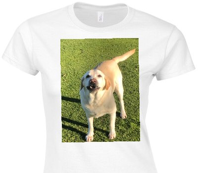 Custom Womens Soft Style 100% Cotton White T-Shirt