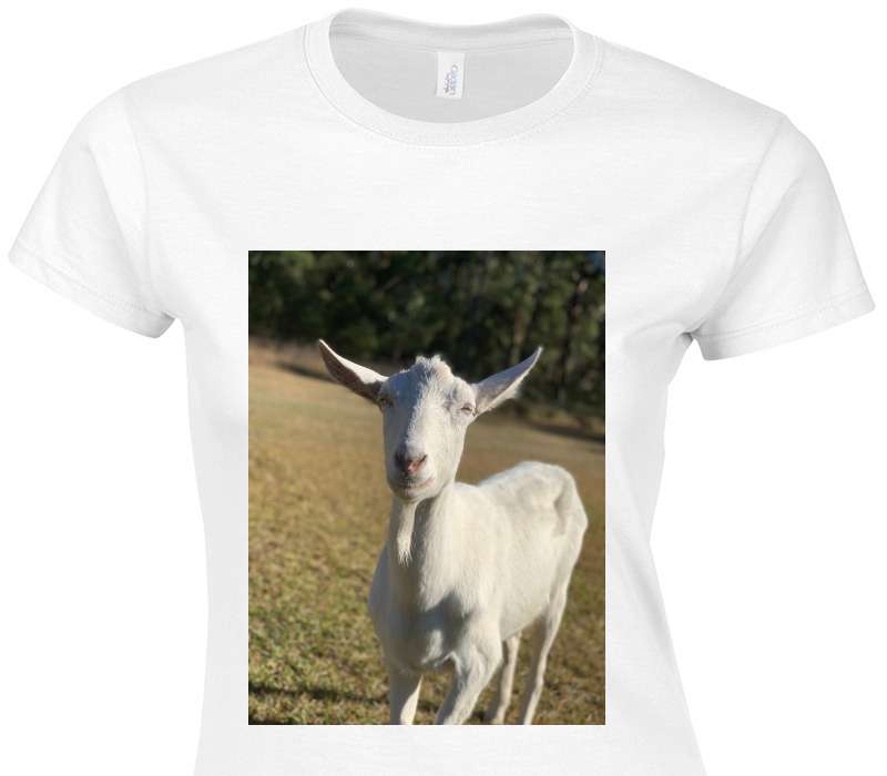 Custom Womens Soft Style 100% Cotton White T-Shirt