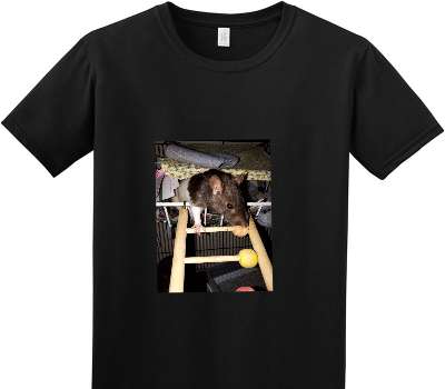 Custom Adult Soft Style 100% Cotton Black T-Shirt