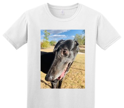 Custom Adult Soft Style 100% Cotton White T-Shirt