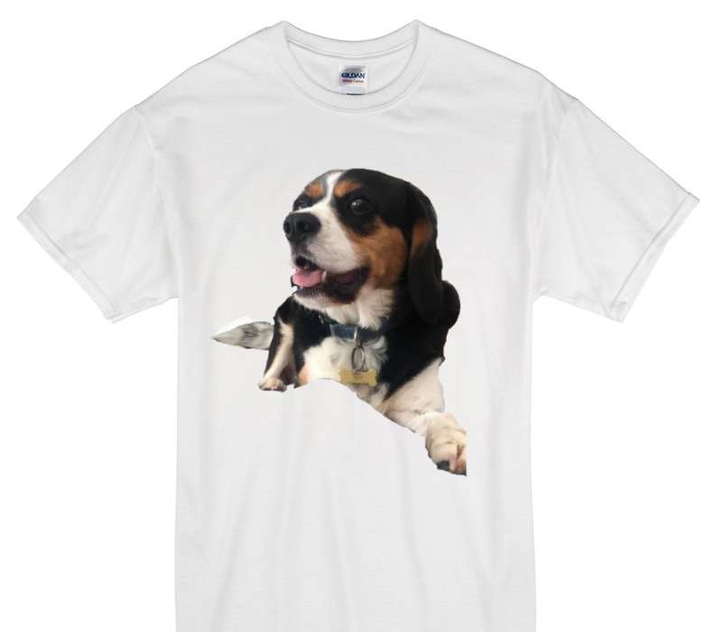 Custom Gildan 100% Cotton White T-Shirt