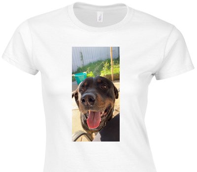 Custom Womens Soft Style 100% Cotton White T-Shirt