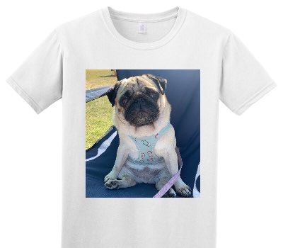 Custom Adult Soft Style 100% Cotton White T-Shirt