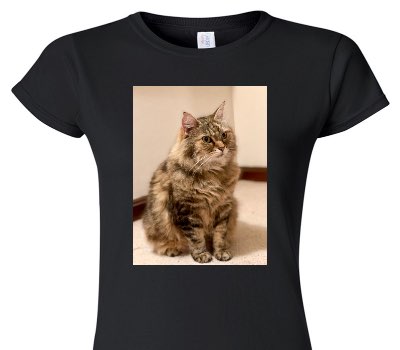 Custom Womens Soft Style 100% Cotton Black T-Shirt