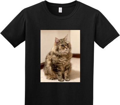 Custom Adult Soft Style 100% Cotton Black T-Shirt