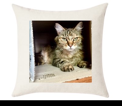 Custom Cushion Cover 50cm x 50 cm Off White
