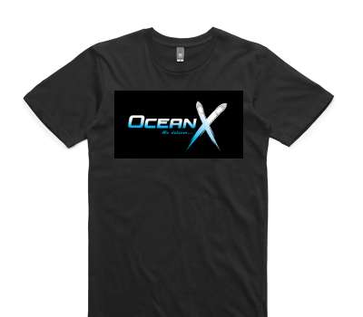 Custom AS Colour 100% Cotton Black T-Shirt