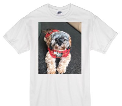 Custom Gildan 100% Cotton White T-Shirt