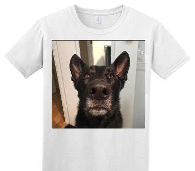 Custom Adult Soft Style 100% Cotton White T-Shirt