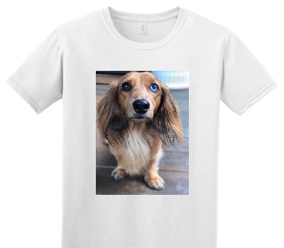Custom Adult Soft Style 100% Cotton White T-Shirt