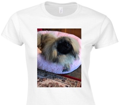 Custom Womens Soft Style 100% Cotton White T-Shirt