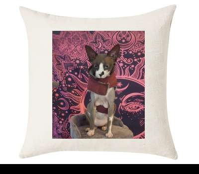 Custom Cushion Cover 50cm x 50 cm Off White