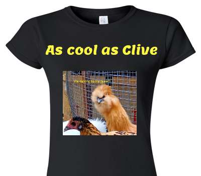 Custom Womens Soft Style 100% Cotton Black T-Shirt