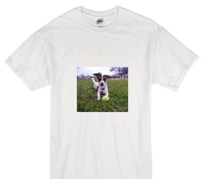 Custom Gildan 100% Cotton White T-Shirt