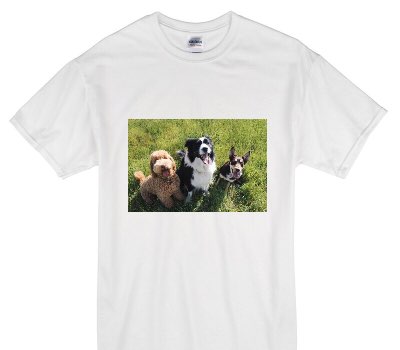 Custom Gildan 100% Cotton White T-Shirt