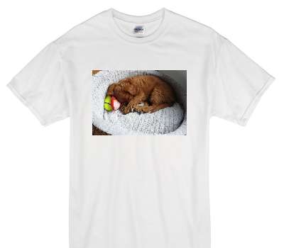 Custom Gildan 100% Cotton White T-Shirt