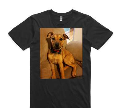 Custom AS Colour 100% Cotton Black T-Shirt