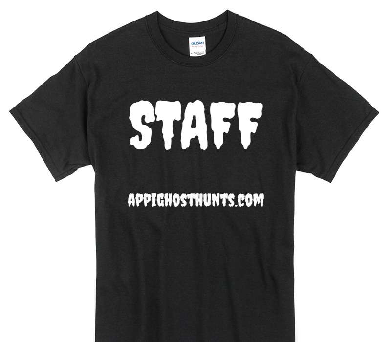 Custom Gildan 100% Cotton Black T-Shirt
